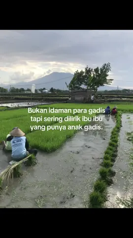 🤙🏻🤙🏻#xybca #fypシ゚ #petaniindonesia🇮🇩🇮🇩🇮🇩🌿🌿 