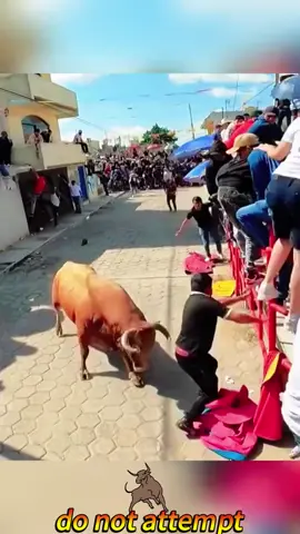 The bull race