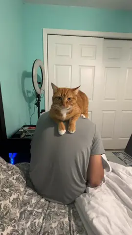 #pti_lover #islam #USA🇺🇸🇵🇰 #goviral #foryoupage❤️❤️ 