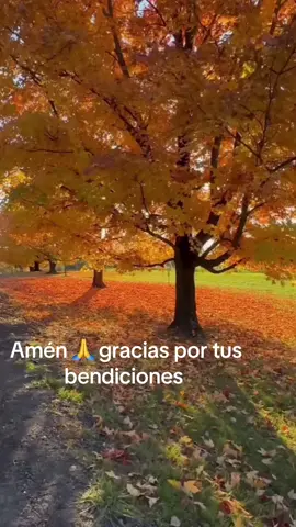 #paratodos #seguidores #pararodoelmundo🌎 #gracias #milgracias 🥲aveces m siento sola pero nunca me as dejado sola gracias 🙏 señor Jesús 🥺