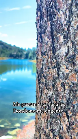 Donde no me engento, encuentro mi paz… #nature #Hiking #vibes #peace 
