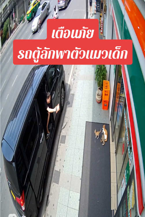 เตือนภัย รถตู้สีดำออกอาละวาด ลักพาตัวแมวเด็ก #แมว #cat #ตลก #kitten #แมวเหมียว 