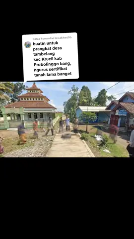 Membalas @luv.akhwt06 #tambelang #krucil #probolinggo #fyp #viral 