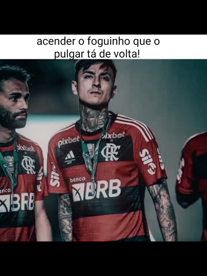 ele tá de volta.  vai sem marca d'água msm.  . . . . . #fyp #viral #flamengo #erickpulgar #vaiprofycaramba 
