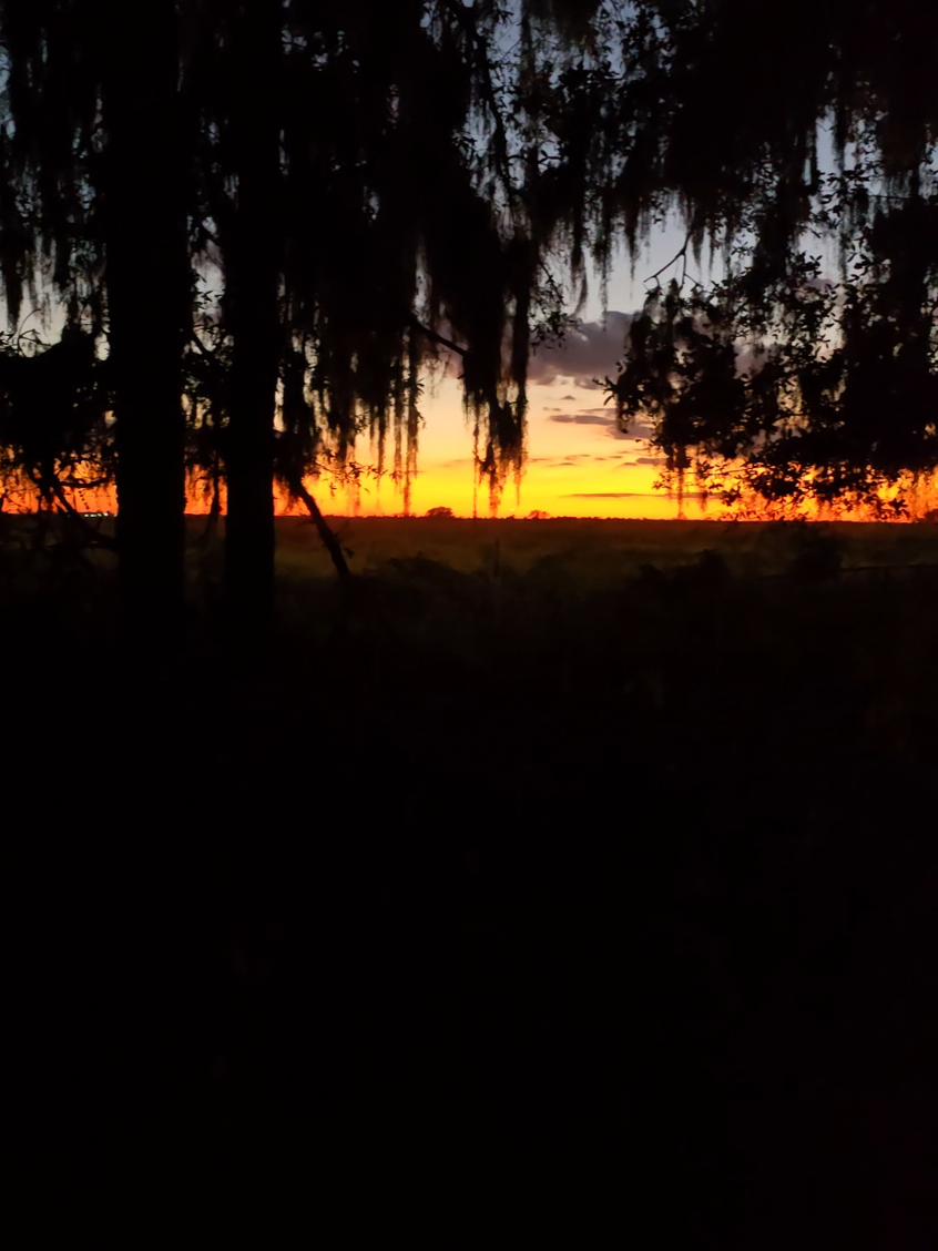 Beautiful floors and gorgeous sunsets #barndo #middleofnowhere #outinthecountry #chasingsunsets 