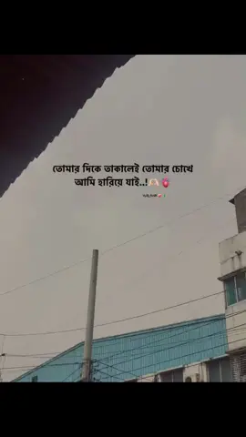 hea pakhi