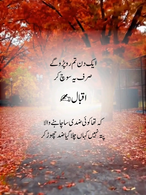 kahan chala gaya zid chod Kar 😭💯... #mirzaghalib  #ghazal  #potterytiktok  #iqbal 