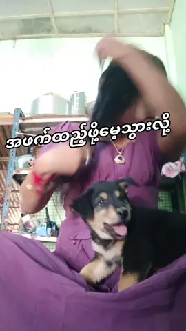 #အမယ်လေးလန့်ထာ😛😛😛 #ချစ်ရင်အသဲပေး💖သွားနော်♥️♥️♥️🥰♥️♥️♥️ #ရောက်ချင်တဲ့နေရာရောက်ကွာ😍🤗🤗😅😅 #🌺🌹🌼🌸💐🌷🌺🌸🌹🌻🌸🌹🌻🌺🌼💐🌷🌸🌺💯👍🌹🌷👍 #