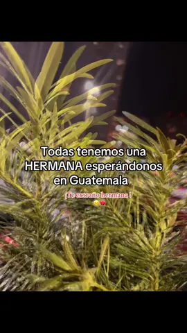 #☹️ #hermana #teextrañotanto #😫 