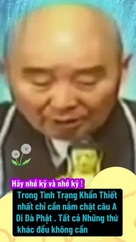 A di đà phật 