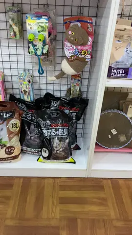 Cát Nhật đen đi ẻ cho mèo, cát đất sét giá rẻ cho mèo đi ẻ #meocon #cuncondangyeu #pets #xuhuong #viral  @Bunny  @Bunny  @Bunny 