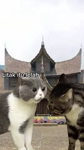 Litak vs Litak Siapa disini yang masih sering berdebat kalo litak itu artinya lelah atau lapar. Unik juga ya bahasa minangkabau bisa beda arti gitu.  #litak #minang #bahasaminang #memekucing #minangkocak 