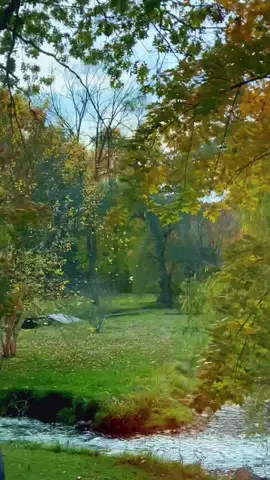 #gerrigirl #puremichigan 