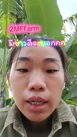 ร้านเรารับคนละครึ่ง #2MFORGANICFARM #2mfTh #สวนอนุรักษ์พันธุ์กล้วยแปลกกล้วยโบราณ 