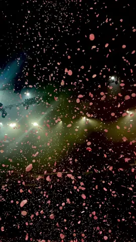 turn your sound on and reminisce on being under the falling petals with me #sleeptoken#eveninarcadia#worship #ritual#fyp