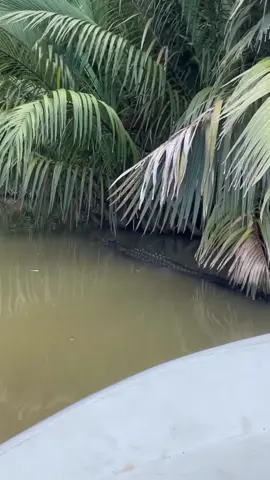 Mò tôm hả ní😳