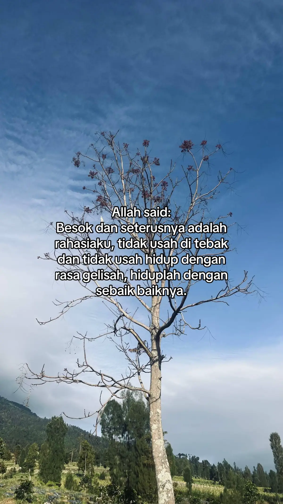 #fypage #fypシ゚ #viraltiktok #yxzcba #fyppppppppppppppppppppppp 