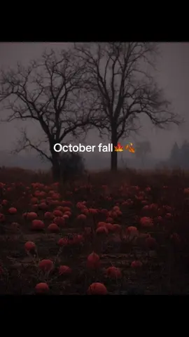 #fallaesthetic#october#cozy#fall#nostalgiacore