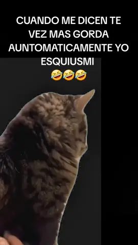 #Meme #MemeCut #CapCut #🤣🤣🤣🤣🤣🤣🤣 