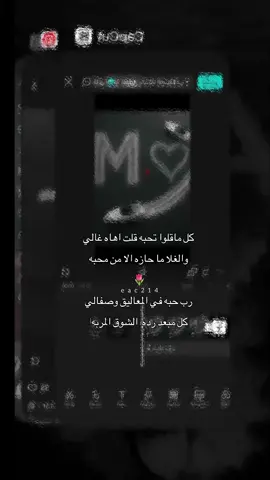 رب حبه في المعاليق 🌷🤎.#اكسبلورexplore #فلاح_المسردي_ #كل_ما_قالو_تحبه_قلت_اهه_غالي #اكسبلورexplore  