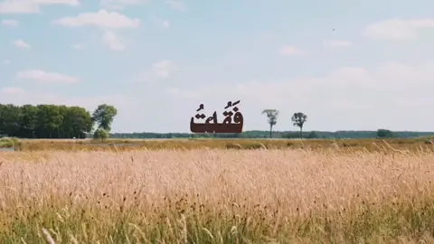 ما تيسر من سورة نوح|| القارئ الشيخ:محمود على البنات(رحمه الله) #تدبروا_الايات #القرءان_الكريم #محمود_علي_البنا #quran #fyp 