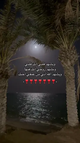#اكسبلورexplore #fypシ゚viral #foryoupage #المملكة_العربية_السعودية 