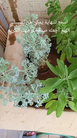 #هدوء الطبيعة