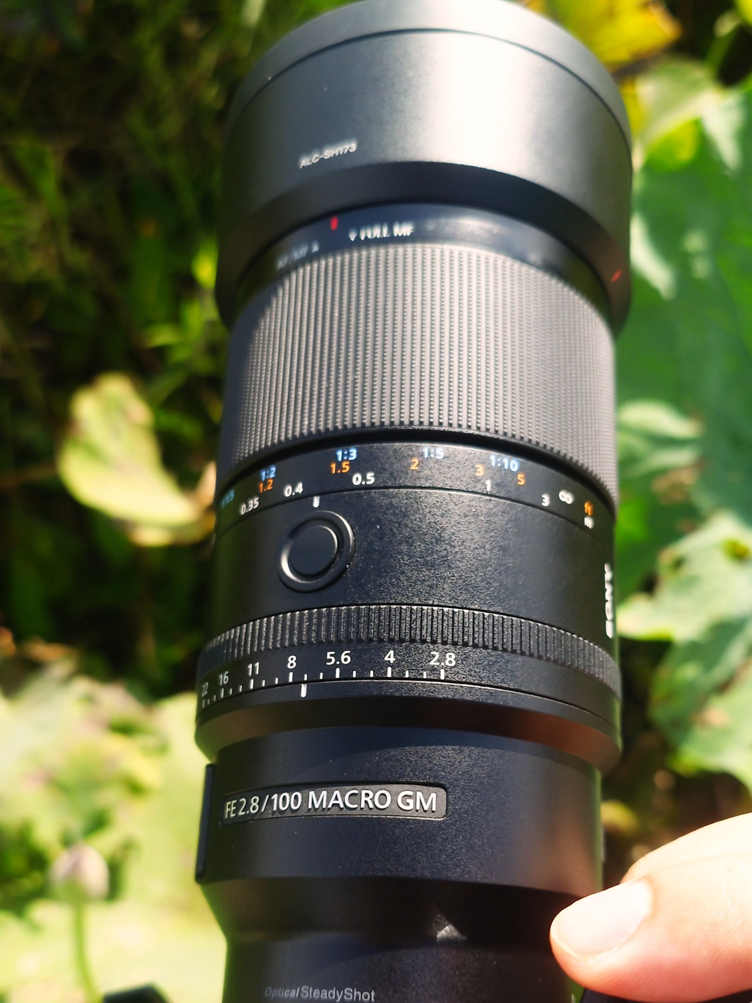 Welcome to Tiny World, เลนส์มาโครใหม่ล่าสุด FE 100mm Marcro F2.8 GM OSS  #Sony #Lens #Review #sel100m28gm