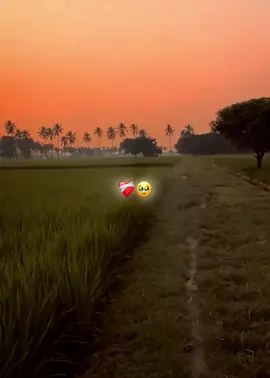 ❤️‍🩹🥹#fyp #foryou #foryoupage #trending @TikTok Bangladesh @TikTok 