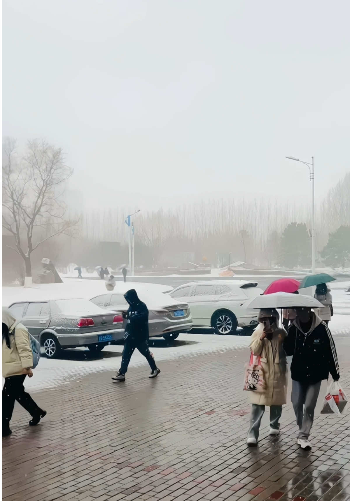 1 st snow in qiqihar 🥶☃️