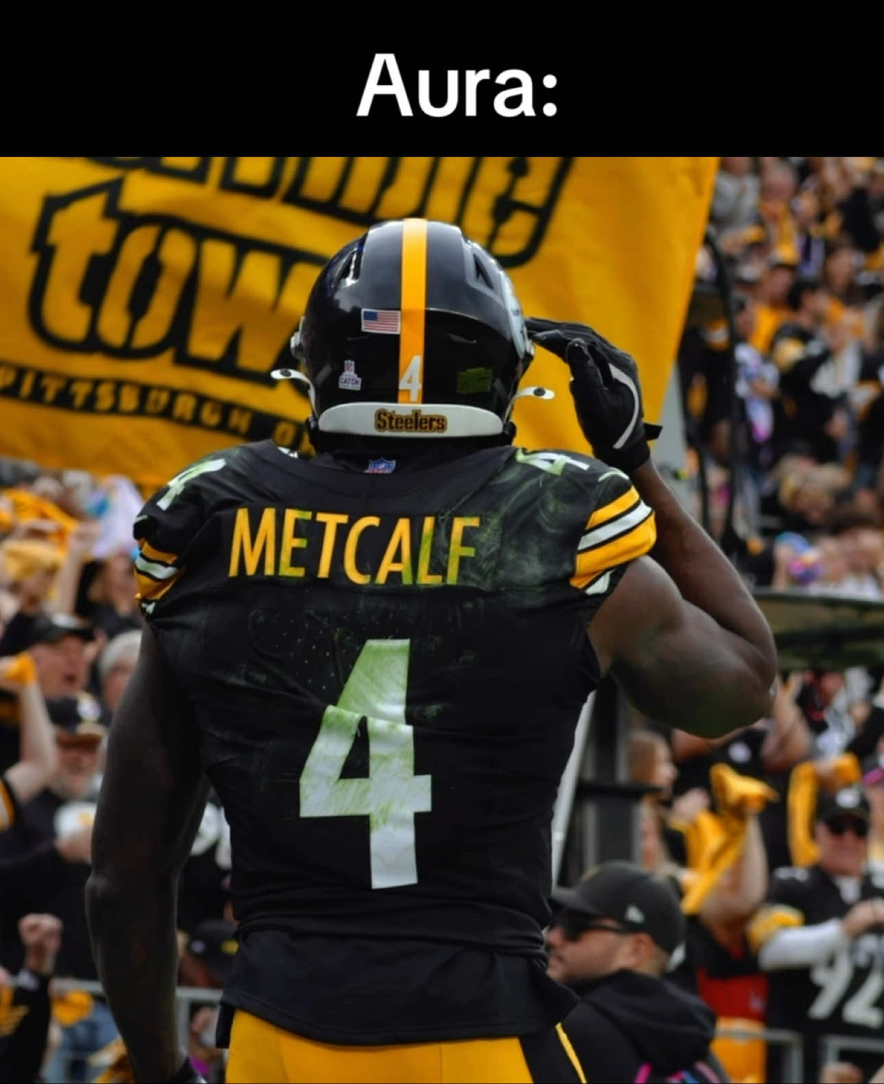 The Fantastic 4️⃣ #dkmetcalf #steelers #nfl #aura 