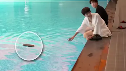 #Revengedlove #tianxuning #ziyu #thankuforsharethevideofc #thankyoutoonermarkonvideo 