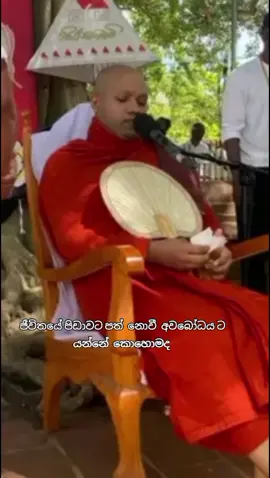 #🙏🙏🙏🙏🙏 #trading #fypシ゚ #dahampiyasa #viral 