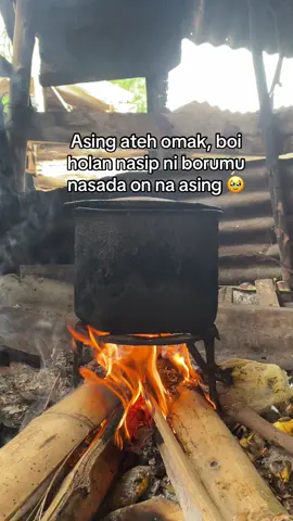 #fypdongggggggg #masukfyp #halakbatak #produkbatak #lagubatak  