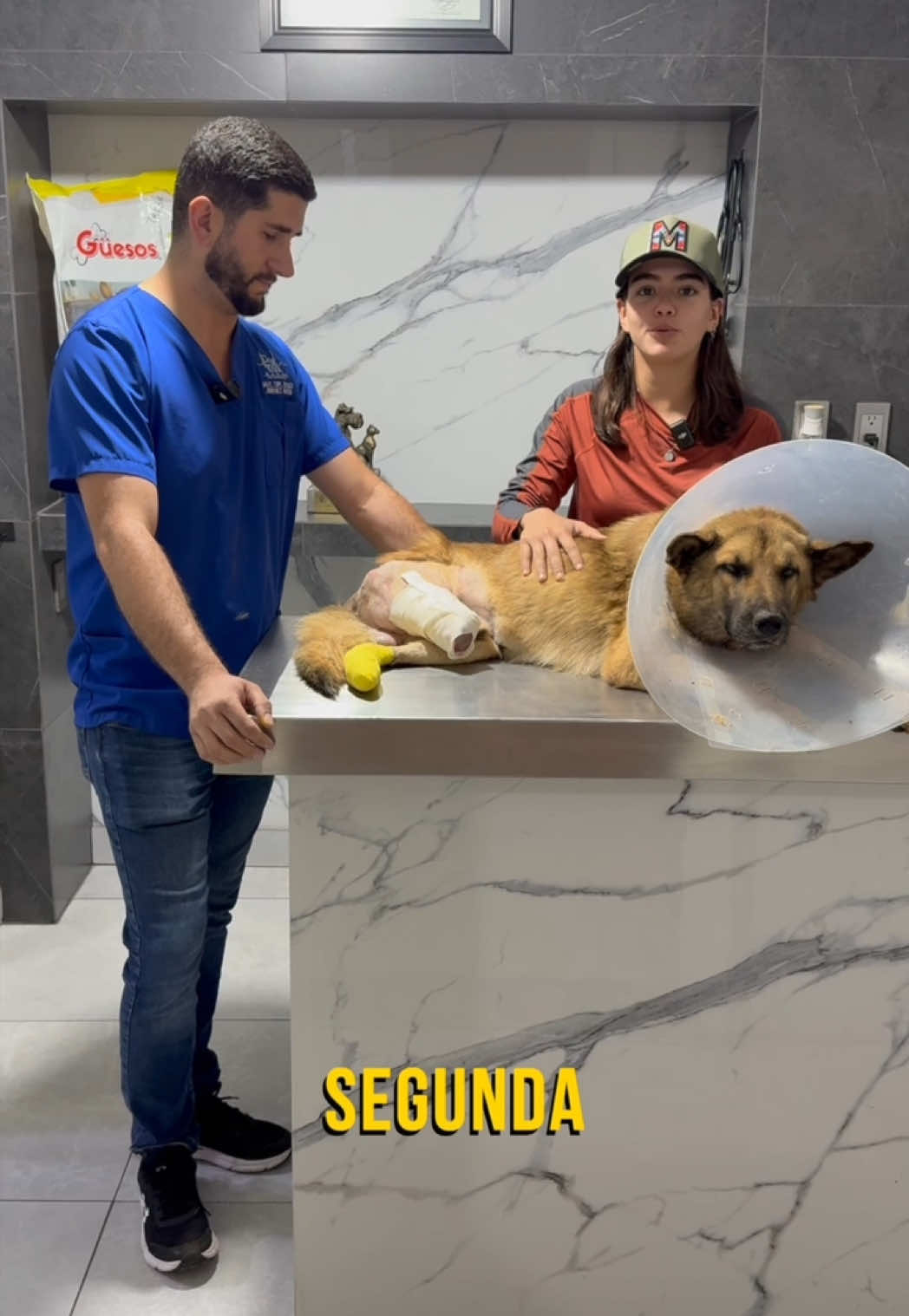Otro rescate más 🙏🏼 trébol ☘️🥹 #croquetasguesos #fyp #rescuedog #dog 