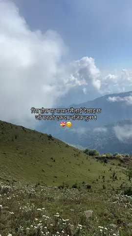 😊💝#fyp #foryou #foryoupage #naturelover 