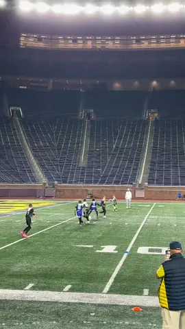 #football #lions #michiganstadium #flag #fyp 