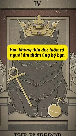 Bạn không đơn độc, luôn có người âm thầm ủng hộ bạn  #thongdiepcuocsong  #traibaitinhyeu #tarot #xuhuongtiktok  #xuhuong. 