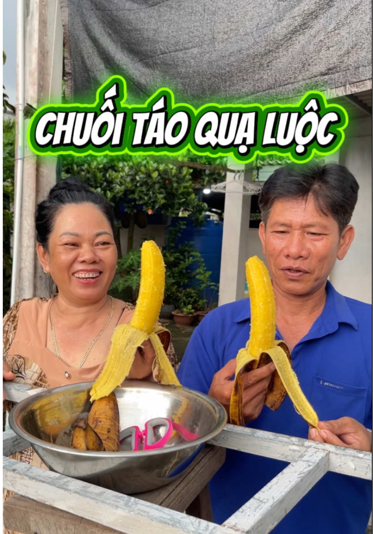 Chuối táo quạ chín vàng luộc dẻo ngọt , mình còn chế biến được món gì nữa cả nhà ơi #chuoitaoqua #chuoiluoc #nguyenngockieu 