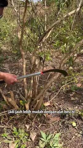 Beli satu boleh guna lama memang berbaloi tau #alatserbaguna #alatperkakasan #kampung #petani 