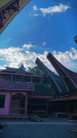 🤩🤩🤩#fyp #torajautara 