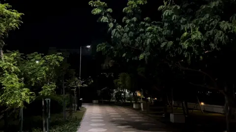 تنتظره يجي المغرب 🖤#الخاقاني #محمد_باقر_الخاقاني #explore 