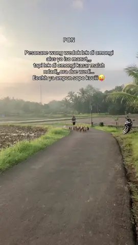 Menyala weton PON🔥#wetonjawa #pon #storyjawa 