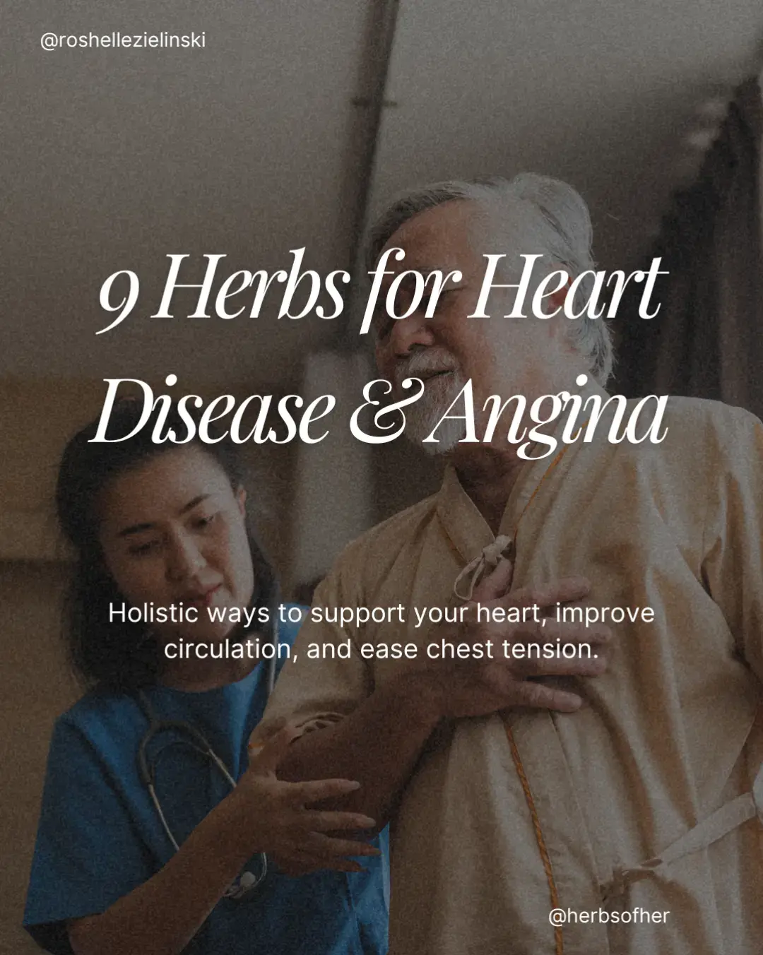 Your heart deserves more than just love it deserves nourishment, rest, and protection. Heart disease and angina aren’t simply physical conditions; they’re signs of imbalance emotional, energetic, and circulatory. When the heart struggles to move blood and oxygen efficiently, tension, fatigue, and pain begin to surface. These nine herbs have been used across cultures to restore circulation, protect cardiac tissue, reduce inflammation, and calm the rhythm of the heart. Each one carries its own unique story and medicine: Arjuna: strengthens and tones the heart muscle, supports healthy blood pressure, and improves circulation. Arjuna is commonly available in capsule form, and Ayurvedic formulas often combine it with as many as thirty other cardioprotective herbs for a synergistic effect. Because of its potency, it should only be used for angina or congestive heart failure under medical guidance. Angelica (Angelica sinensis): both grounding and graceful. It contains fifteen natural compounds that act like calcium channel blockers, the same class of modern medicine used for angina and high blood pressure. Angelica gently relaxes the vessels, allowing blood and oxygen to flow freely, easing tightness in both the chest and the spirit. Hawthorn, Dan Shen, Astragalus, Olive Leaf, Khella, Citrin, and Acerola all work harmoniously to: • Improve oxygen flow • Ease inflammation within the arteries • Strengthen rhythm and emotional balance • Support healthy blood pressure + cholesterol Each herb speaks to the heart’s language  rhythm, patience, and flow. Herbal Insight: Think of herbal care as a relationship, not a quick fix. Herbs work subtly but deeply over time rebuilding, regulating, and restoring harmony from within. Consistency is where the healing lives. Before You Begin: Always honor your body’s uniqueness. Consult your practitioner, especially if you’re on heart or blood-pressure medication. Start small, listen closely, and let your body teach you what it needs more of and what it doesn’t. Your heart holds memory, emotion, and rhythm. When it’s nurtured with the right foods, herbs, and peaceful practices, it responds in kind... pulsing stronger, clearer, and more in tune with your life’s purpose. Save this post as a reminder to move with love, live with intention, and listen to your heart’s whispers. Follow for more herbal teachings. #herbsofher #hearthealth #angina #heartdisease #bloodpressure