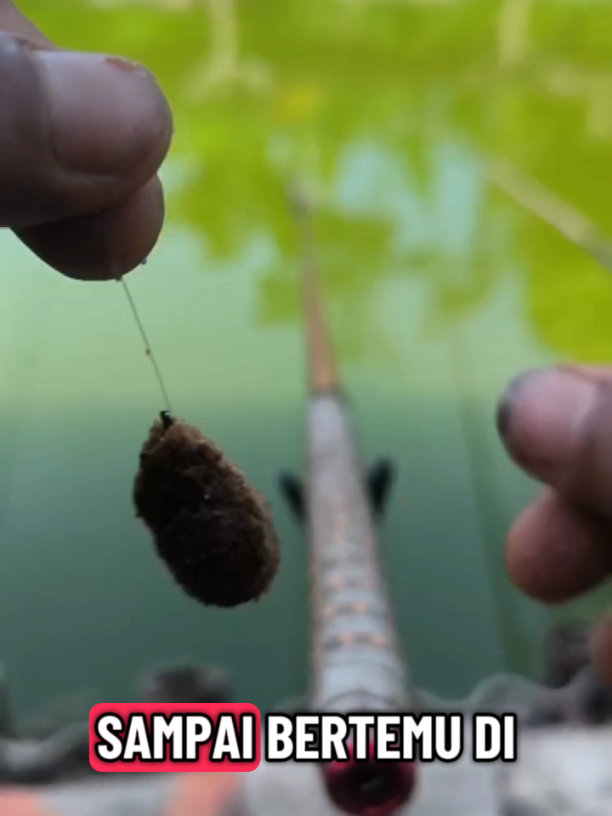 belajar melatih kecepatan tangan 🗿 #mancingsantai #infomancing  #fyp #galatama #foryoupage #foryou #storymancing #story #sound 