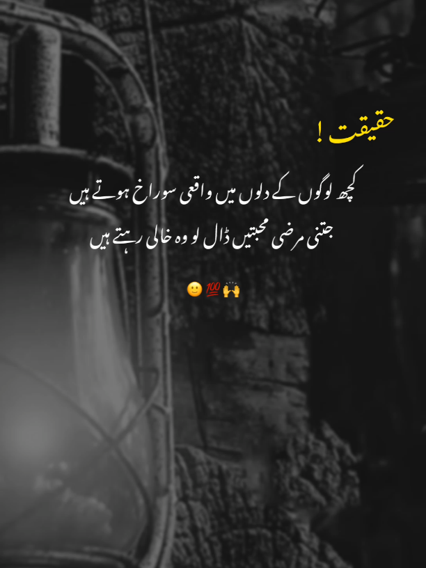 ‎𝑻𝒓𝒖𝒆 𝑳𝒊𝒏𝒆𝒔 ✨ ‎#truelines#dontundereviewmyvideo #poetrylovers #pleasetiktokviralmyvideo #alfazefarhan ‎