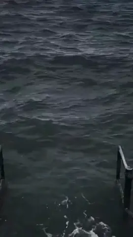 #meme #phdtroll #teamtote #phuonghuucon #viral 