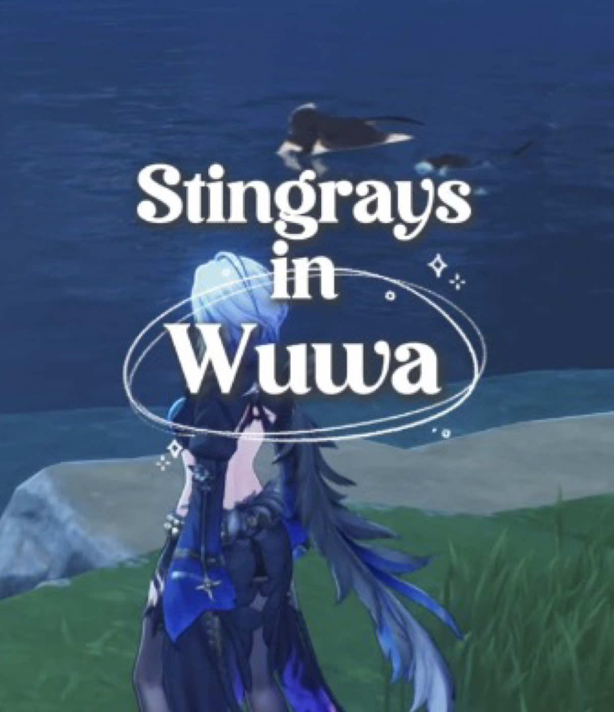 A fun discovery my bf made today 🥹 I was so excited when I saw them, any marine expert that can tell us what kind they are ?! #wutheringwaves #wuwa #wuwacreator #galbrena #rover 