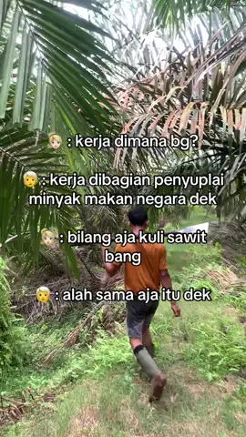 Kesenjangan kuli sawit#petanimuda #pemanensawit #foryoupage 