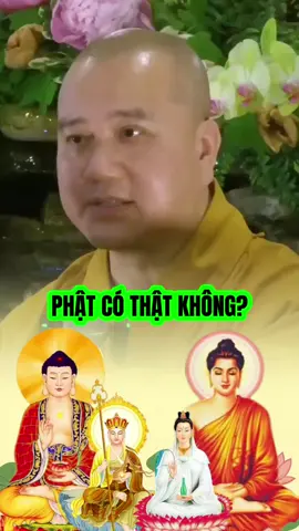 Phật nào có mặt trên cõi đời này? #thichphaphoa #thayphaphoa #suutamphapthoai #tuehung #phapthoai 